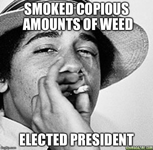 Being cool | SMOKED COPIOUS AMOUNTS OF WEED ELECTED PRESIDENT | image tagged in being cool | made w/ Imgflip meme maker