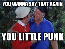 YOU WANNA SAY THAT AGAIN; YOU LITTLE PUNK | image tagged in gilligan,skipper,punk,funny | made w/ Imgflip meme maker