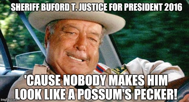 Buford T. Justice | SHERIFF BUFORD T. JUSTICE FOR PRESIDENT 2016; 'CAUSE NOBODY MAKES HIM LOOK LIKE A POSSUM'S PECKER! | image tagged in buford t justice | made w/ Imgflip meme maker