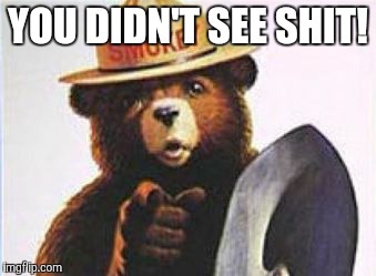 YOU DIDN'T SEE SHIT! | made w/ Imgflip meme maker