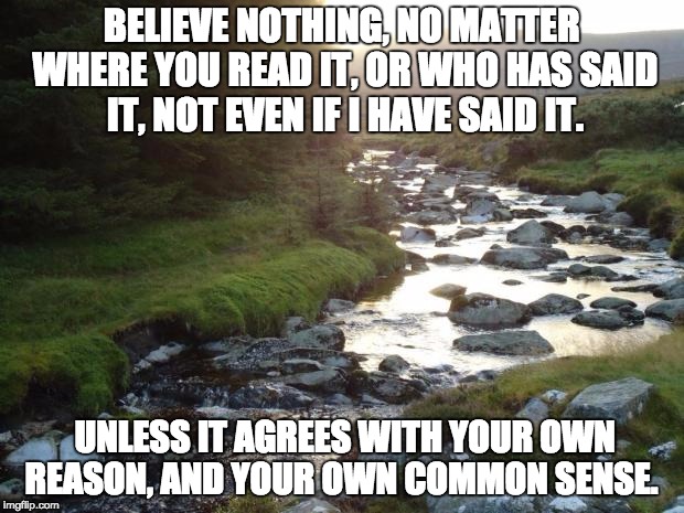 Serenity Ireland | BELIEVE NOTHING, NO MATTER WHERE YOU READ IT, OR WHO HAS SAID IT, NOT EVEN IF I HAVE SAID IT. UNLESS IT AGREES WITH YOUR OWN REASON, AND YOUR OWN COMMON SENSE. | image tagged in serenity ireland | made w/ Imgflip meme maker