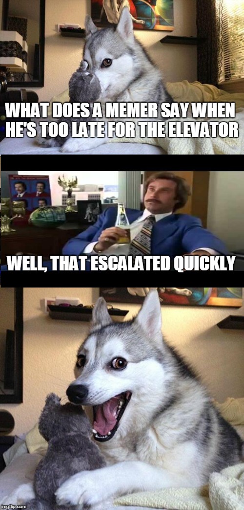 Bad Pun Dog Meme | WHAT DOES A MEMER SAY WHEN HE'S TOO LATE FOR THE ELEVATOR; WELL, THAT ESCALATED QUICKLY | image tagged in memes,bad pun dog,well that escalated quickly,funny | made w/ Imgflip meme maker