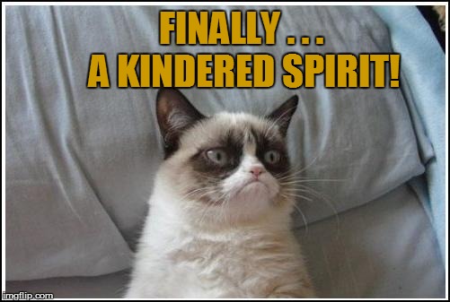 FINALLY . . . A KINDERED SPIRIT! | made w/ Imgflip meme maker