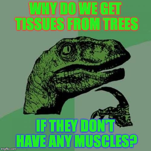 Philosoraptor Meme | WHY DO WE GET TISSUES FROM TREES; IF THEY DON'T HAVE ANY MUSCLES? | image tagged in memes,philosoraptor | made w/ Imgflip meme maker