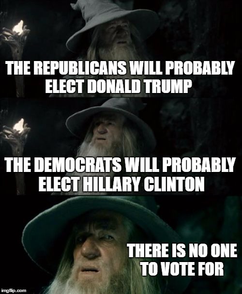 Confused Gandalf | THE REPUBLICANS WILL PROBABLY ELECT DONALD TRUMP; THE DEMOCRATS WILL PROBABLY ELECT HILLARY CLINTON; THERE IS NO ONE TO VOTE FOR | image tagged in memes,confused gandalf | made w/ Imgflip meme maker