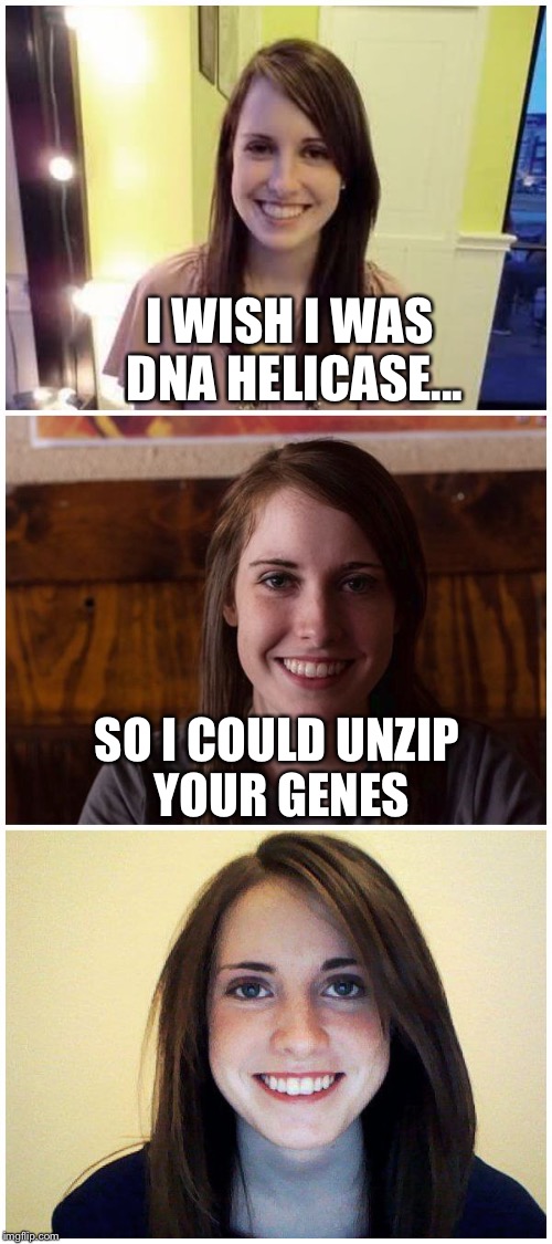Bad Pun Laina | I WISH I WAS DNA HELICASE... SO I COULD UNZIP YOUR GENES | image tagged in bad pun laina,memes,biology | made w/ Imgflip meme maker