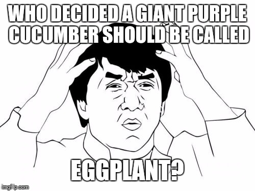 They don't look like eggs, they don't taste like eggs, so wtf? | WHO DECIDED A GIANT PURPLE CUCUMBER SHOULD BE CALLED; EGGPLANT? | image tagged in memes,jackie chan wtf | made w/ Imgflip meme maker