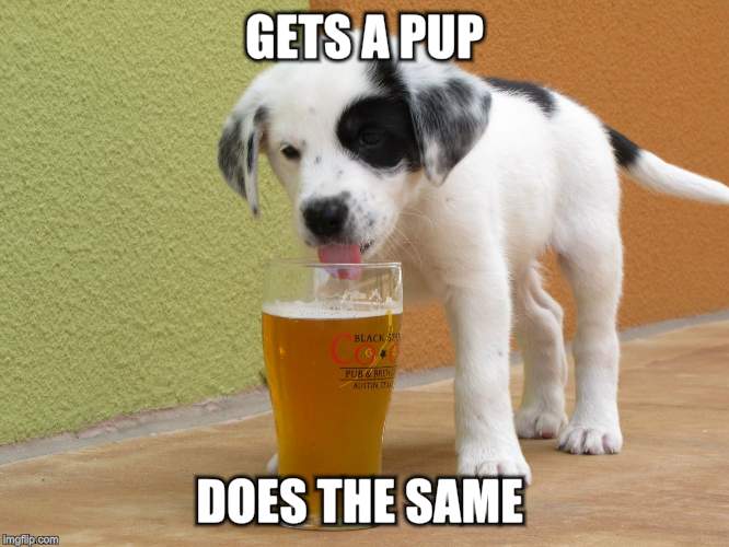GETS A PUP DOES THE SAME | made w/ Imgflip meme maker