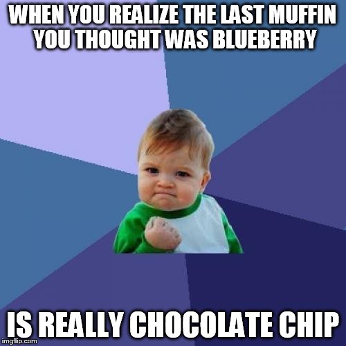 Success Kid | WHEN YOU REALIZE THE LAST MUFFIN YOU THOUGHT WAS BLUEBERRY; IS REALLY CHOCOLATE CHIP | image tagged in memes,success kid | made w/ Imgflip meme maker