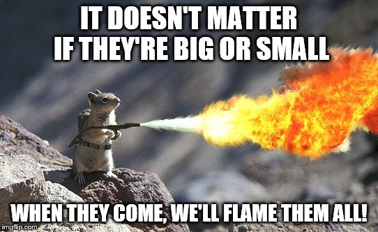 Flame War Squirrel | IT DOESN'T MATTER IF THEY'RE BIG OR SMALL WHEN THEY COME, WE'LL FLAME THEM ALL! | image tagged in flame war squirrel | made w/ Imgflip meme maker