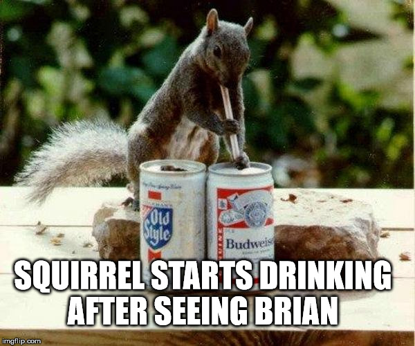 SQUIRREL STARTS DRINKING AFTER SEEING BRIAN | made w/ Imgflip meme maker
