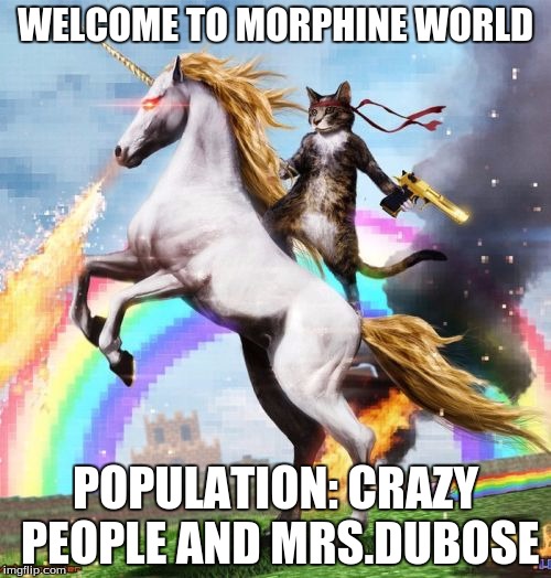 Welcome To The Internets Meme | WELCOME TO MORPHINE WORLD; POPULATION: CRAZY PEOPLE AND MRS.DUBOSE | image tagged in memes,welcome to the internets | made w/ Imgflip meme maker