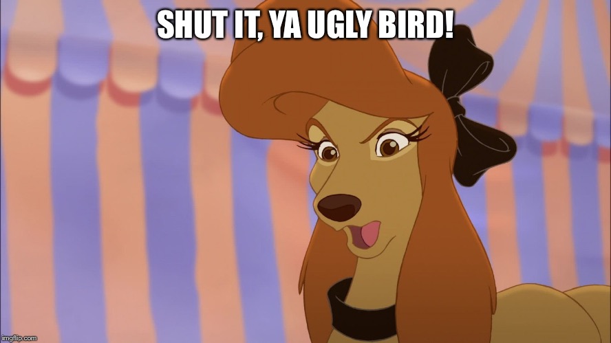 Shut It, Ya Ugly Bird | SHUT IT, YA UGLY BIRD! | image tagged in dixie,memes,disney,the fox and the hound 2,reba mcentire,dog | made w/ Imgflip meme maker