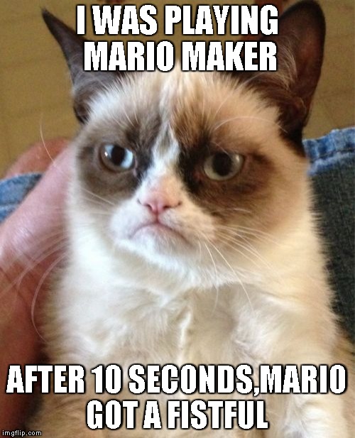 Me in real life. | I WAS PLAYING MARIO MAKER; AFTER 10 SECONDS,MARIO GOT A FISTFUL | image tagged in memes,grumpy cat | made w/ Imgflip meme maker