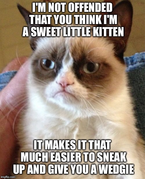 Sweetie Cat is Sweet Not | I'M NOT OFFENDED THAT YOU THINK I'M A SWEET LITTLE KITTEN; IT MAKES IT THAT MUCH EASIER TO SNEAK UP AND GIVE YOU A WEDGIE | image tagged in memes,grumpy cat | made w/ Imgflip meme maker