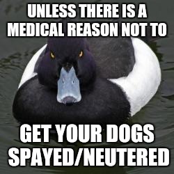 Angry Advice Mallard | UNLESS THERE IS A MEDICAL REASON NOT TO; GET YOUR DOGS SPAYED/NEUTERED | image tagged in angry advice mallard,AdviceAnimals | made w/ Imgflip meme maker
