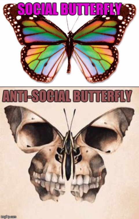 Image Tagged In Memes butterfly Imgflip