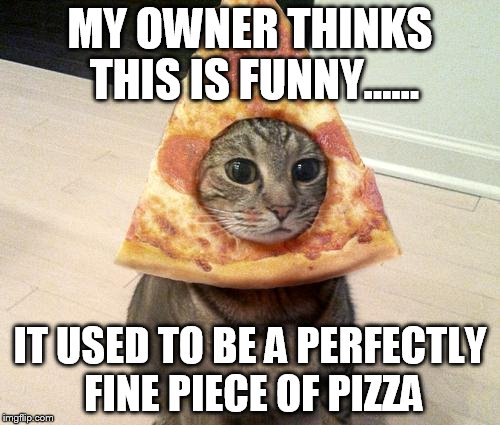 pizza cat | MY OWNER THINKS THIS IS FUNNY...... IT USED TO BE A PERFECTLY FINE PIECE OF PIZZA | image tagged in pizza cat | made w/ Imgflip meme maker
