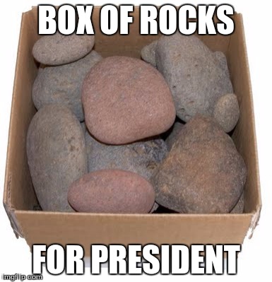 box of rocks | BOX OF ROCKS FOR PRESIDENT | image tagged in box of rocks | made w/ Imgflip meme maker