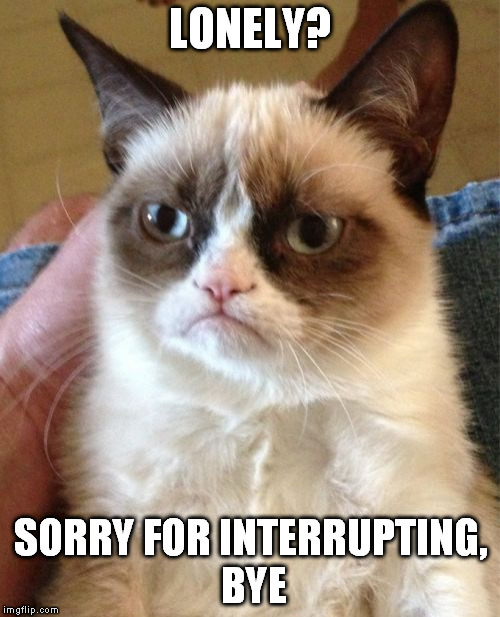 Grumpy Cat Meme | LONELY? SORRY FOR INTERRUPTING, BYE | image tagged in memes,grumpy cat | made w/ Imgflip meme maker