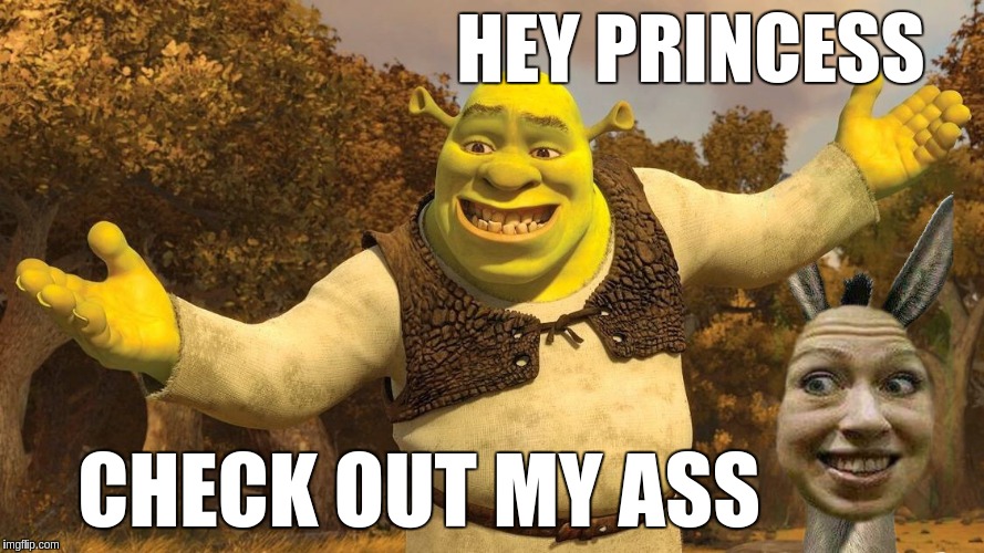 Shrek's Ass | HEY PRINCESS; CHECK OUT MY ASS | image tagged in shrek showing off his ass,memes | made w/ Imgflip meme maker