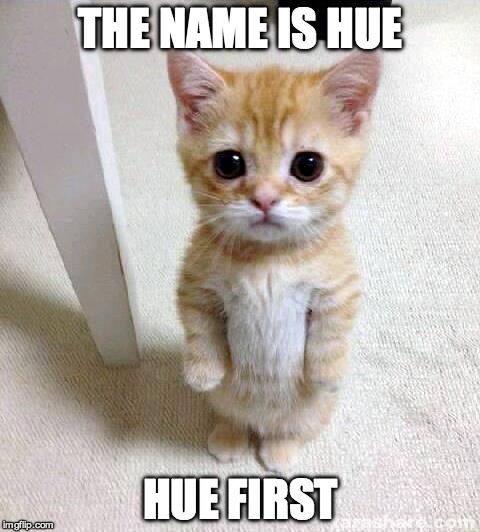THE NAME IS HUE HUE FIRST | made w/ Imgflip meme maker