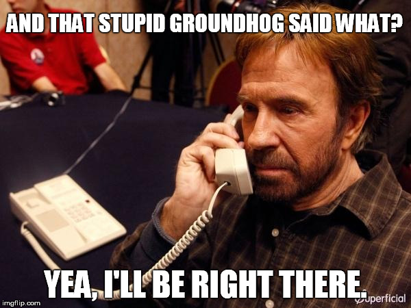 Chuck Norris Phone Meme | AND THAT STUPID GROUNDHOG SAID WHAT? YEA, I'LL BE RIGHT THERE. | image tagged in chuck norris phone | made w/ Imgflip meme maker