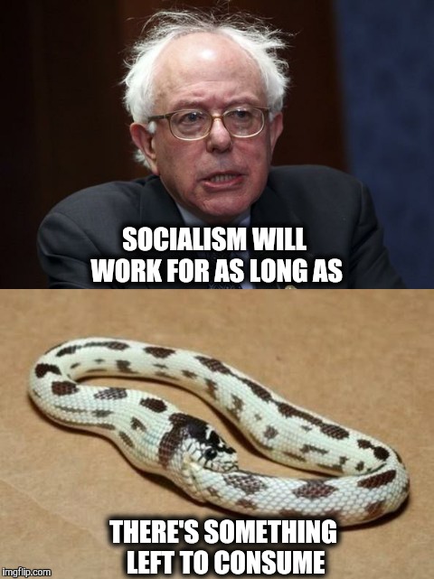 It's a vicious circle. | SOCIALISM WILL WORK FOR AS LONG AS; THERE'S SOMETHING LEFT TO CONSUME | image tagged in bernie sanders,socialists,socialism,snake,snakes | made w/ Imgflip meme maker