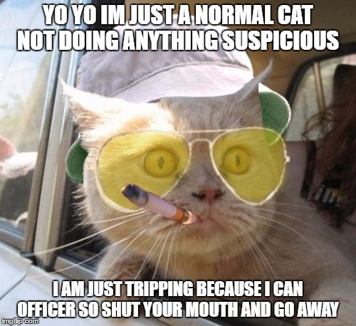 Fear And Loathing Cat Meme | YO YO IM JUST A NORMAL CAT NOT DOING ANYTHING SUSPICIOUS; I AM JUST TRIPPING BECAUSE I CAN OFFICER SO SHUT YOUR MOUTH AND GO AWAY | image tagged in memes,fear and loathing cat | made w/ Imgflip meme maker