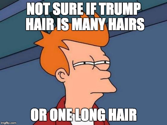 Futurama Fry | NOT SURE IF TRUMP HAIR IS MANY HAIRS; OR ONE LONG HAIR | image tagged in memes,futurama fry,donald trump hair | made w/ Imgflip meme maker