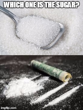WHICH ONE IS THE SUGAR? | made w/ Imgflip meme maker