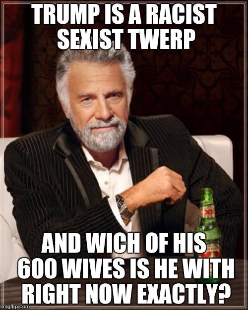 The Most Interesting Man In The World Meme | TRUMP IS A RACIST SEXIST TWERP; AND WICH OF HIS 600 WIVES IS HE WITH RIGHT NOW EXACTLY? | image tagged in memes,the most interesting man in the world | made w/ Imgflip meme maker