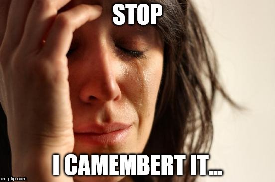 First World Problems Meme | STOP I CAMEMBERT IT... | image tagged in memes,first world problems | made w/ Imgflip meme maker