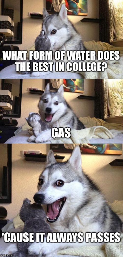 C+ | WHAT FORM OF WATER DOES THE BEST IN COLLEGE? GAS; 'CAUSE IT ALWAYS PASSES | image tagged in memes,bad pun dog | made w/ Imgflip meme maker