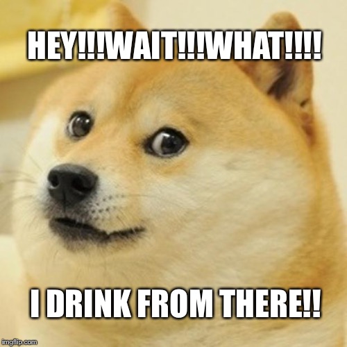 Doge Meme | HEY!!!WAIT!!!WHAT!!!! I DRINK FROM THERE!! | image tagged in memes,doge | made w/ Imgflip meme maker