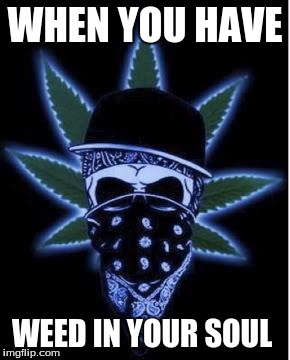 Soul of weeds | WHEN YOU HAVE; WEED IN YOUR SOUL | image tagged in weed | made w/ Imgflip meme maker