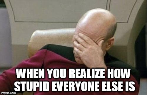 Captain Picard Facepalm Meme | WHEN YOU REALIZE HOW STUPID EVERYONE ELSE IS | image tagged in memes,captain picard facepalm | made w/ Imgflip meme maker