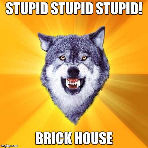 Courage Wolf Meme | STUPID STUPID STUPID! BRICK HOUSE | image tagged in memes,courage wolf | made w/ Imgflip meme maker