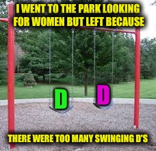 I don't even have a title for this one | I WENT TO THE PARK LOOKING FOR WOMEN BUT LEFT BECAUSE; D; D; THERE WERE TOO MANY SWINGING D'S | image tagged in memes,funny memes,women,men,swing | made w/ Imgflip meme maker