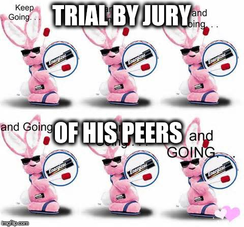 TRIAL BY JURY OF HIS PEERS | made w/ Imgflip meme maker