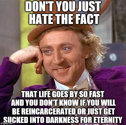 Creepy Condescending Wonka Meme | DON'T YOU JUST HATE THE FACT; THAT LIFE GOES BY SO FAST AND YOU DON'T KNOW IF YOU WILL BE REINCARCERATED OR JUST GET SUCKED INTO DARKNESS FOR ETERNITY | image tagged in memes,creepy condescending wonka | made w/ Imgflip meme maker