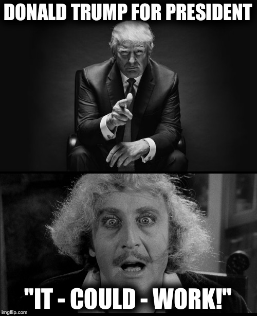 Election day | DONALD TRUMP FOR PRESIDENT; "IT - COULD - WORK!" | image tagged in president 2016,donald trump,presidential race,young frankenstein,funny meme,president | made w/ Imgflip meme maker