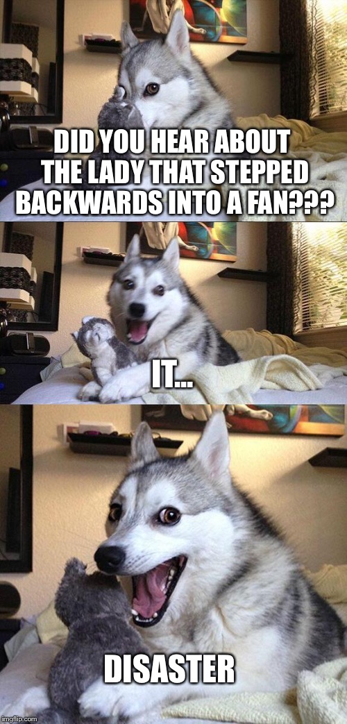 Total disaster  | DID YOU HEAR ABOUT THE LADY THAT STEPPED BACKWARDS INTO A FAN??? IT... DISASTER | image tagged in memes,bad pun dog | made w/ Imgflip meme maker