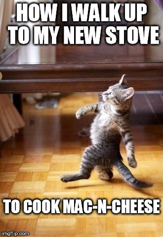 Cool Cat Stroll | HOW I WALK UP TO MY NEW STOVE; TO COOK MAC-N-CHEESE | image tagged in memes,cool cat stroll | made w/ Imgflip meme maker