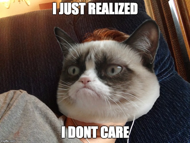 I JUST REALIZED; I DONT CARE | image tagged in meme,i just realized | made w/ Imgflip meme maker