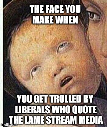 It's difficult to have a reasonable discussion when there is no acceptable baseline of facts. | THE FACE YOU MAKE WHEN; YOU GET TROLLED BY LIBERALS WHO QUOTE THE LAME STREAM MEDIA | image tagged in liberals,liberal,media,troll,trolls,trolling | made w/ Imgflip meme maker
