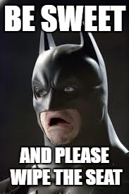 Disgusted Batman | BE SWEET; AND PLEASE WIPE THE SEAT | image tagged in disgusted batman | made w/ Imgflip meme maker