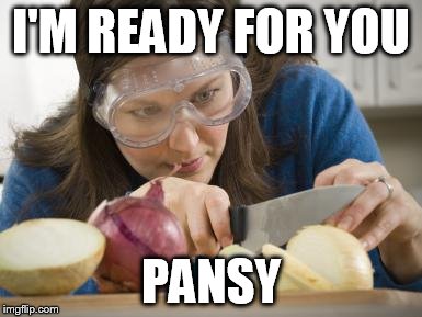 I'M READY FOR YOU PANSY | made w/ Imgflip meme maker