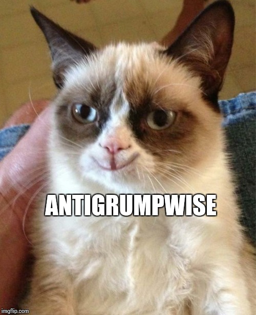 Happy grumpy cat |  ANTIGRUMPWISE | image tagged in happy grumpy cat | made w/ Imgflip meme maker