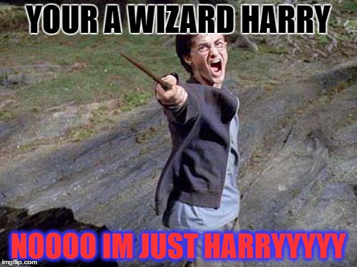 Harry Potter Yelling | YOUR A WIZARD HARRY; NOOOO IM JUST HARRYYYYY | image tagged in harry potter yelling | made w/ Imgflip meme maker